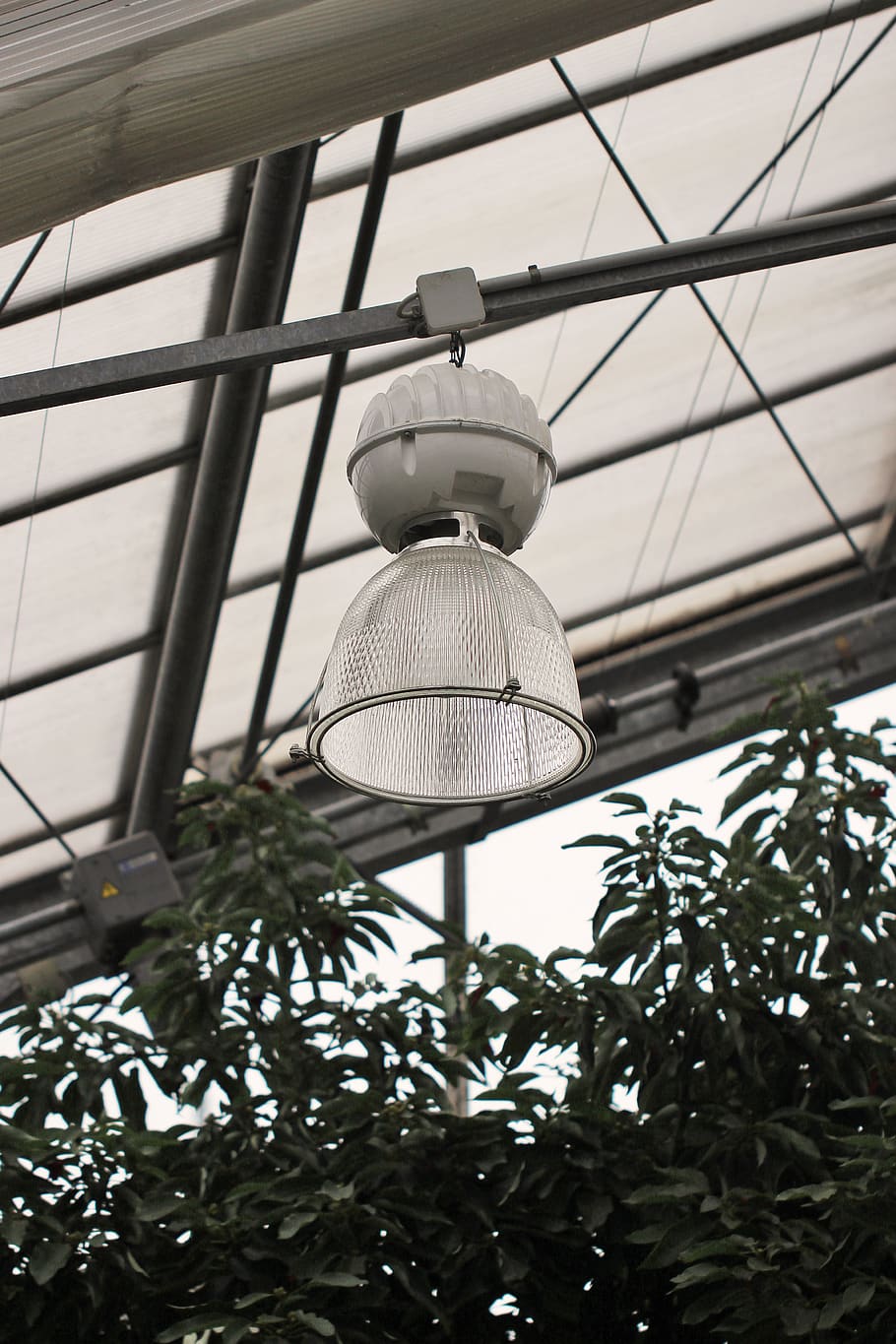 lamp, greenhouse, apocalyptical, tech, nature, grey, gray, low angle view HD wallpaper