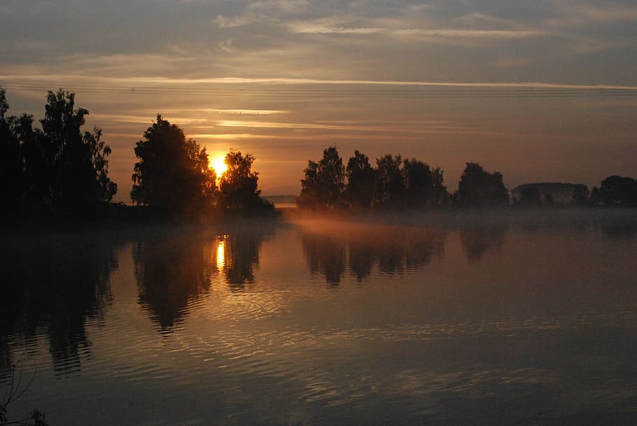 Silhouette of Trees Beside Body of Water in Orange Sunset, clouds HD wallpaper