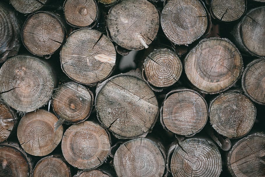 brown wood logs, full frame, stack, firewood, timber, backgrounds HD wallpaper