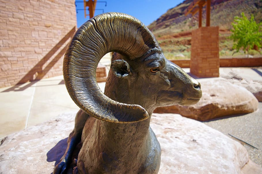 bronze ram bighorn, statue, desert, sheep, arches, national, HD wallpaper
