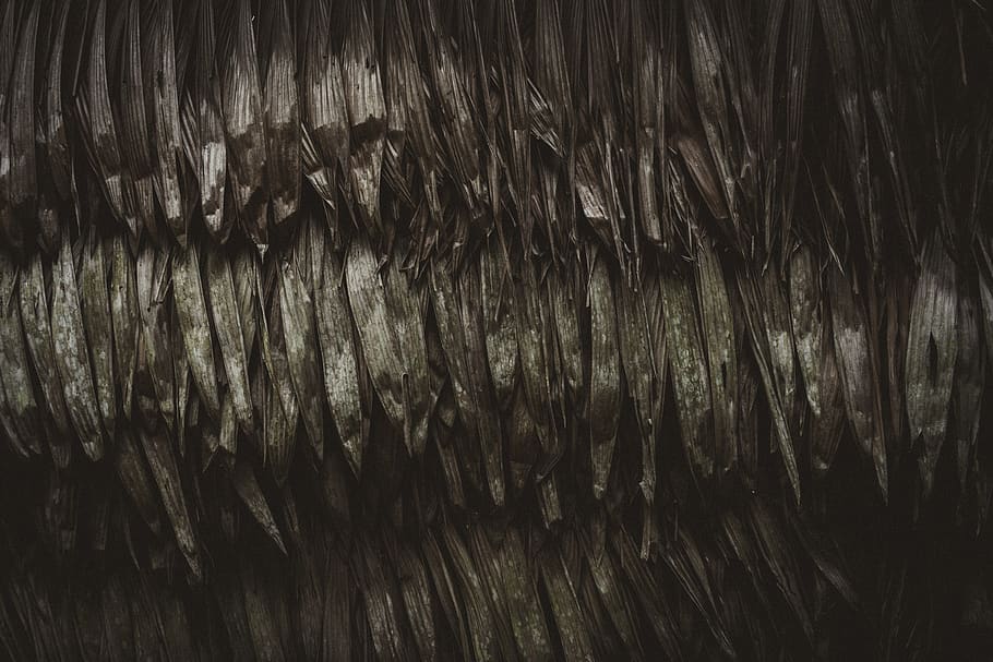 gray leaves, full frame, no people, backgrounds, pattern, close-up HD wallpaper