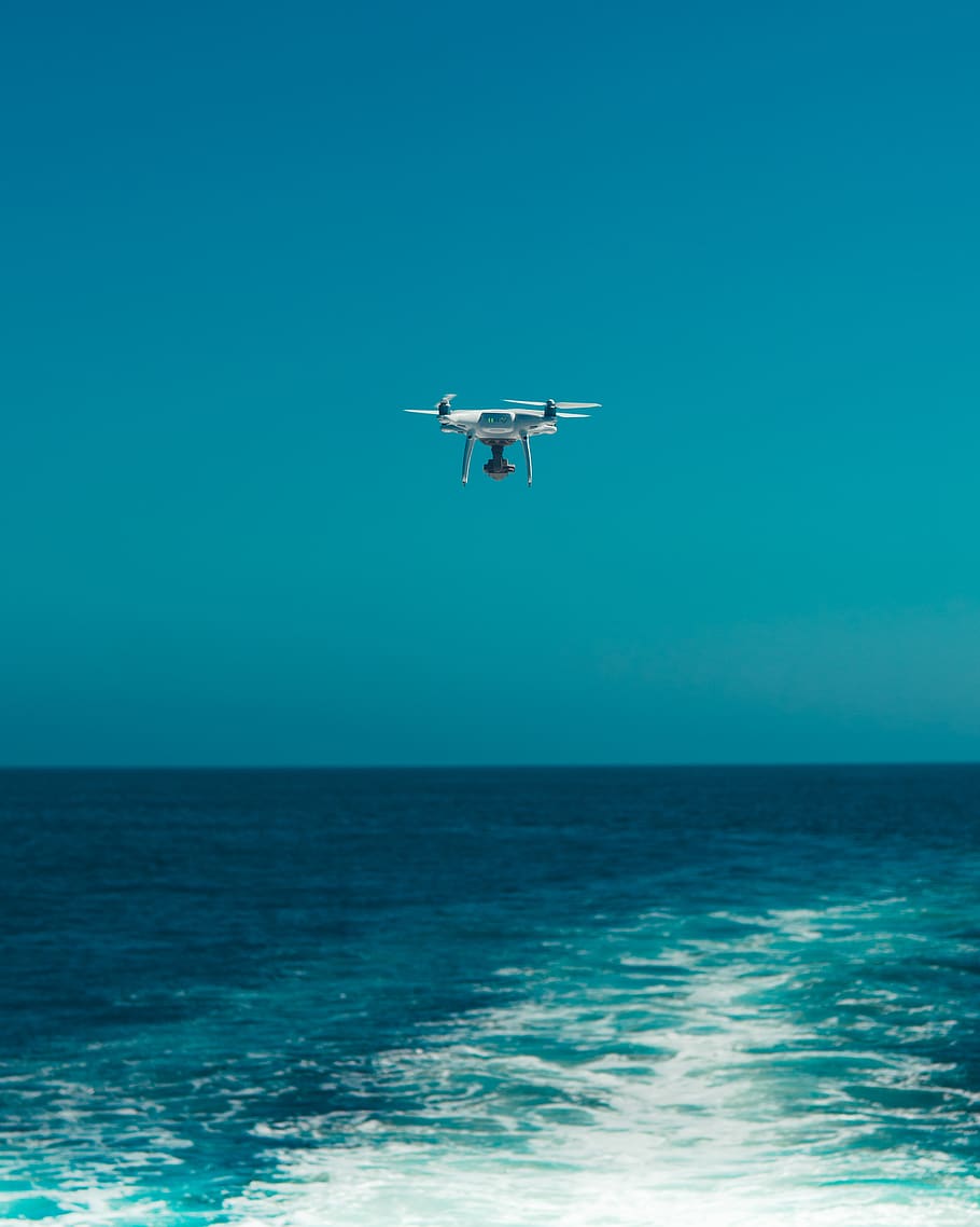 drone flying above sea during daytime, animal, bird, nature, ocean, HD wallpaper