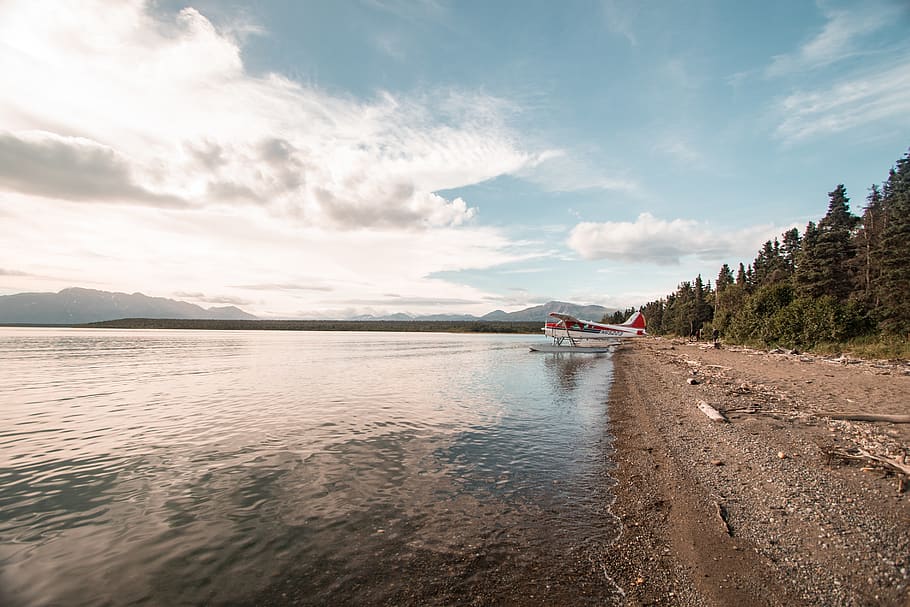 white bi-plane on water, nature, beach, lake, outdoors, katmai national park and preserve, HD wallpaper
