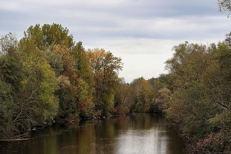 autumn, trees, nature, forest, landscape, plant, water, tranquility HD wallpaper