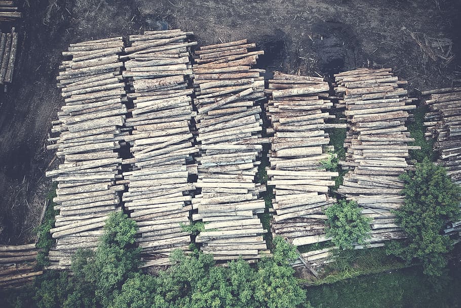 Aerial Photography of Stack of Firewood, daylight, firewoods HD wallpaper
