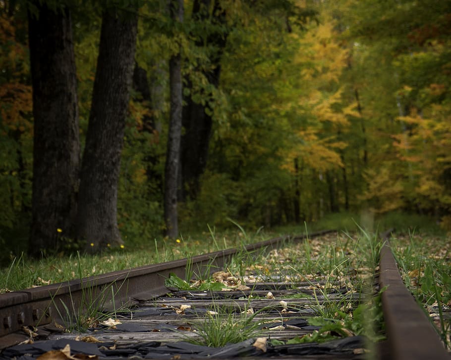 train track surrounded by trees, monson, united states, boardwalk, HD wallpaper