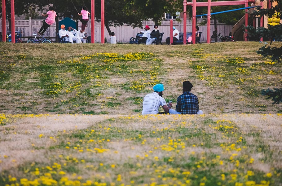 Two Men Sitting on Yellow Flower Field in the Park, boys, culture
