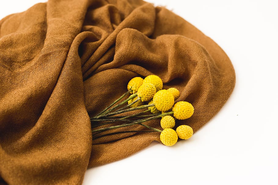 yellow flowers on brown textile, blossom, flora, mimosa, plant, HD wallpaper