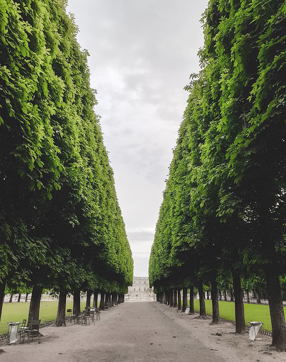 Parking paris. Грасс парк.