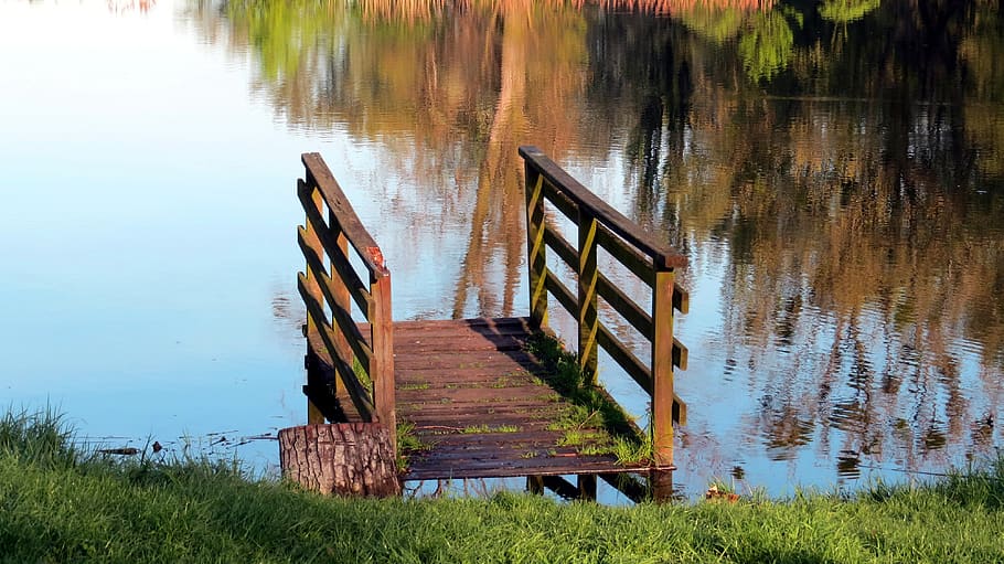 mirror, bridge, tree, water, pond, branches, nature, green HD wallpaper