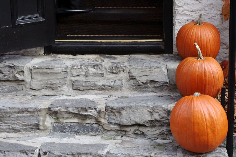 pumpkin, halloween, decoration, fall, harvest, autumn, vegetables HD wallpaper