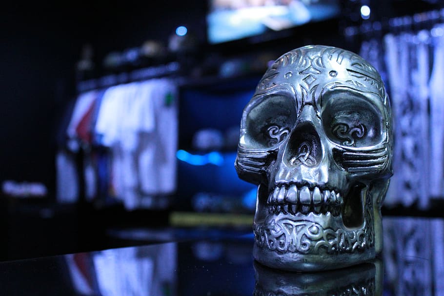 skull, dark, store, tattoo, art and craft, focus on foreground HD wallpaper