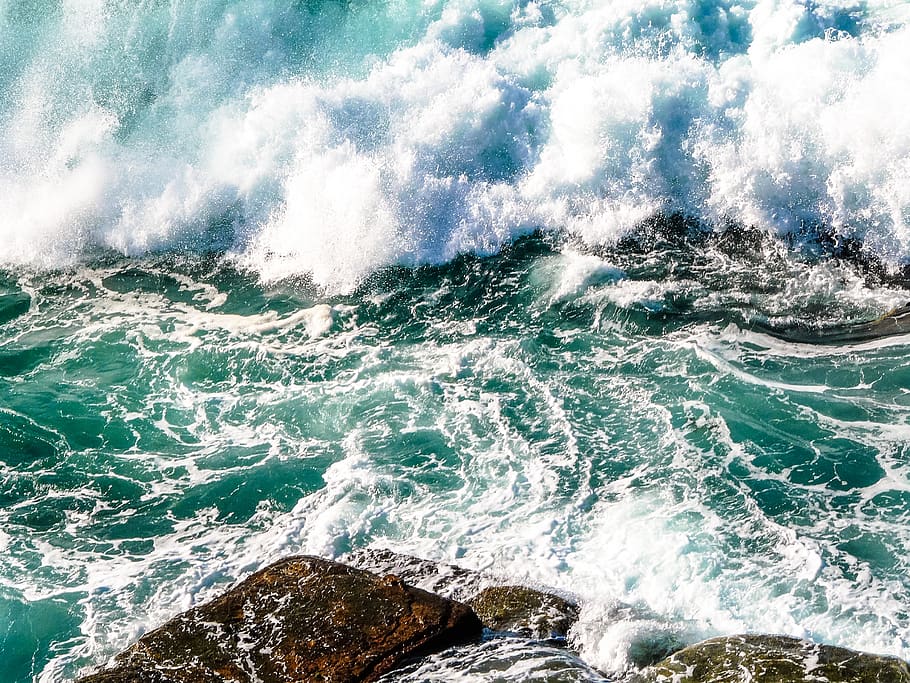 australia, avalon beach, motion, sea, wave, water, sport, beauty in nature HD wallpaper