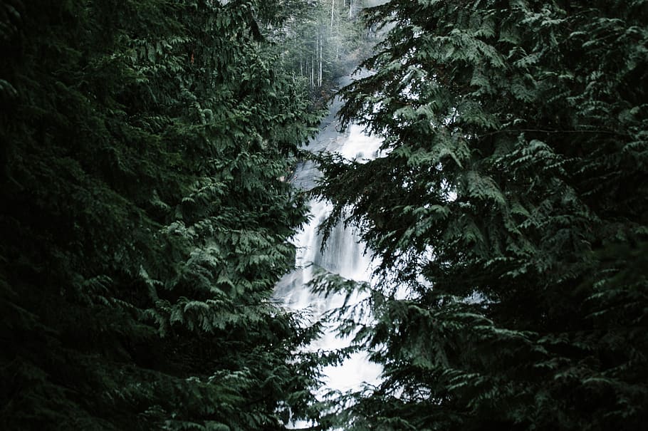 Waterfalls, canada, cascade, environment, forest, nature, trees HD wallpaper