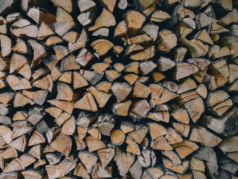 wood, logging, tree, full frame, timber, firewood, lumber industry HD wallpaper