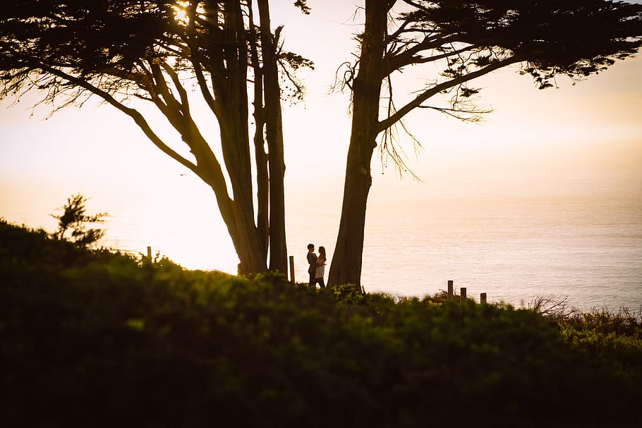 couple between trees, nature, sunlight, plant, outdoors, silhouette HD wallpaper
