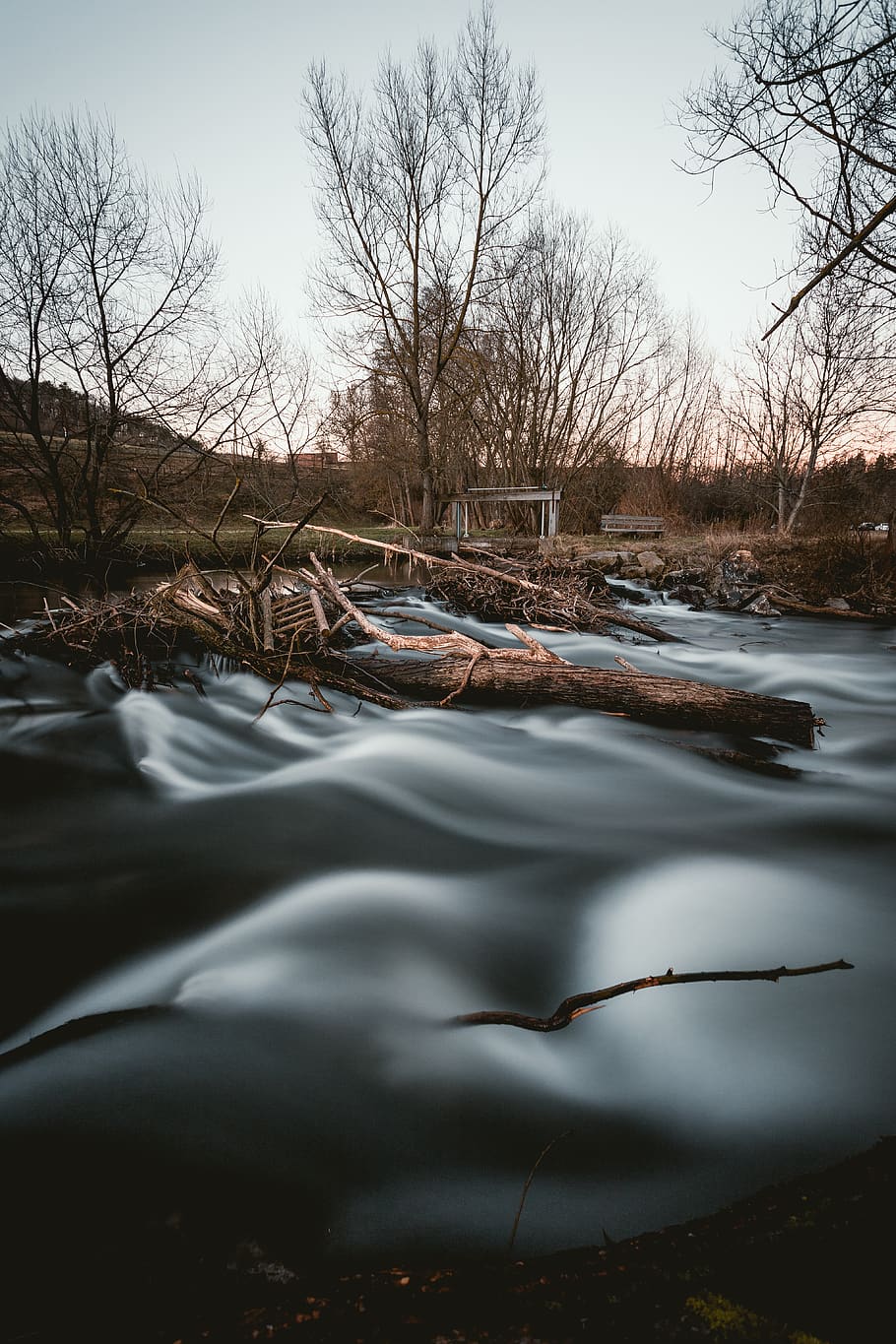 brown trunk on gray textile, nature, water, outdoors, stream HD wallpaper