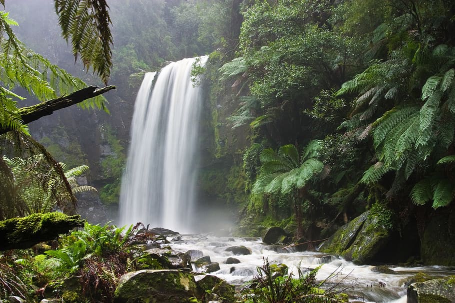 waterfall, nature, stream, river, scenics - nature, tree, beauty in nature, HD wallpaper
