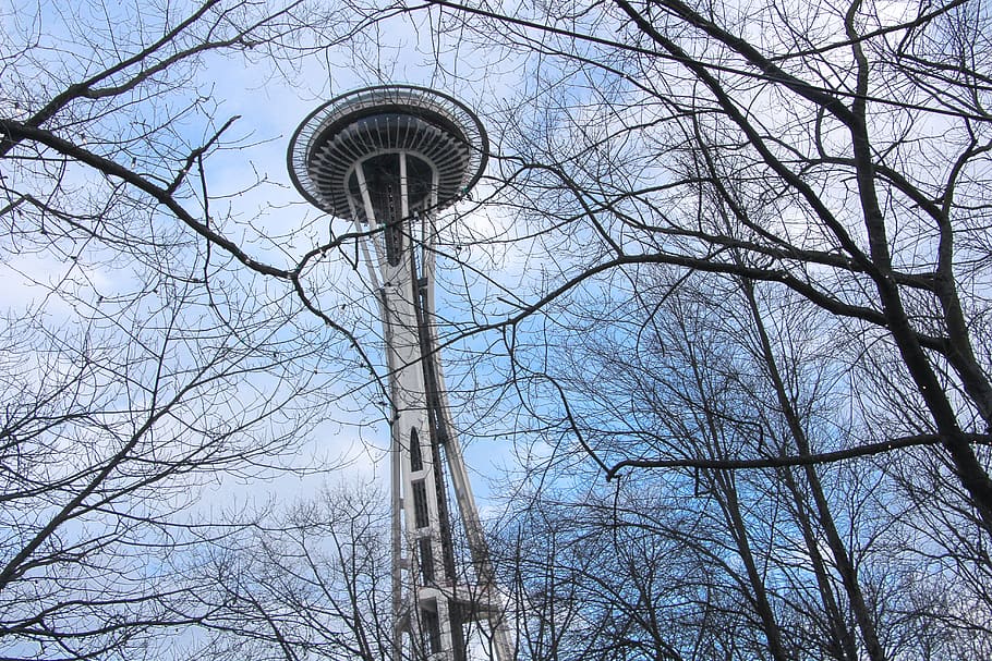 tower, building, architecture, tree, space needle, seattle HD wallpaper