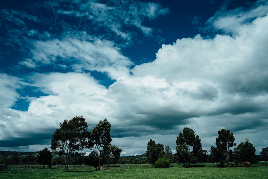 australia, harvey, clouds, trees, field, sky, nature, country HD wallpaper