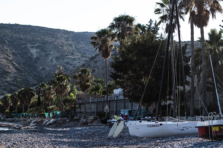 trees, summer, cyprus, beach, sun, sunset, palmtrees, boat HD wallpaper