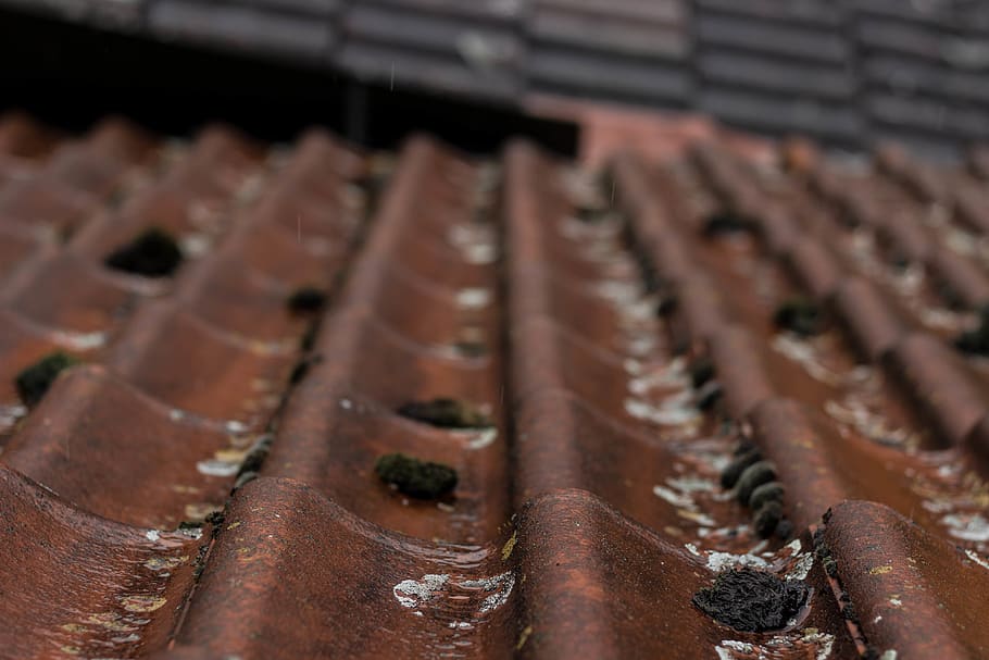 Ржавая крыша. Ржавая крыша мокрый. После дождя кирпич намок. Rusty Roof, damp Cellar.