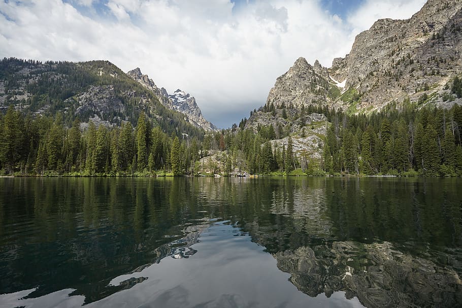 united states, water, beauty in nature, scenics - nature, tree HD wallpaper