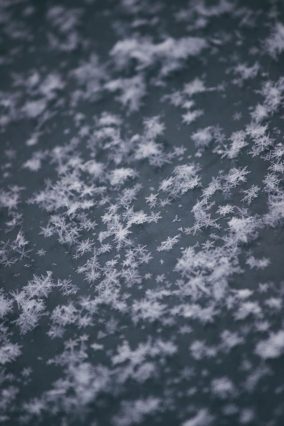 snow flakes, selective focus, full frame, no people, cold temperature, HD wallpaper