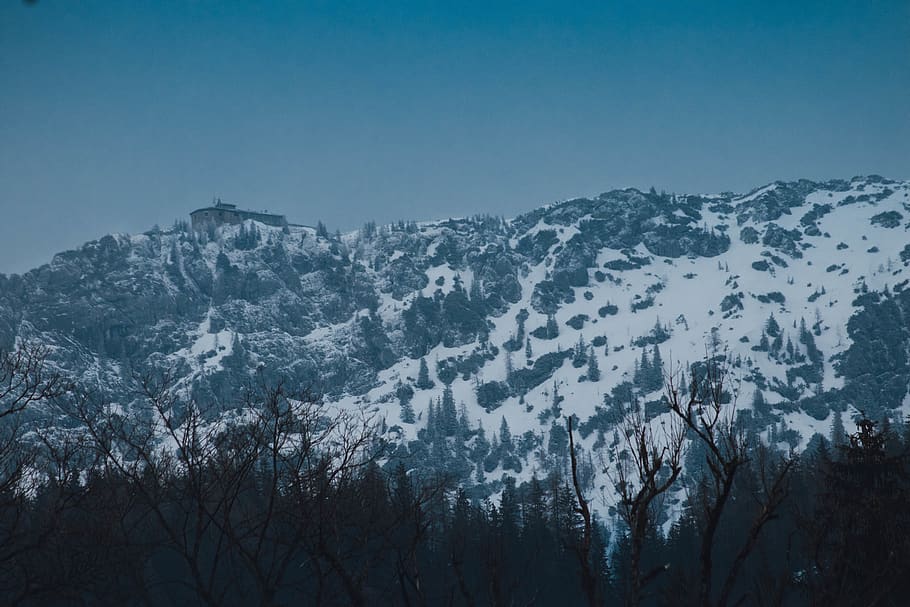 snow covered hill slopes, nature, tree, plant, outdoors, fir HD wallpaper