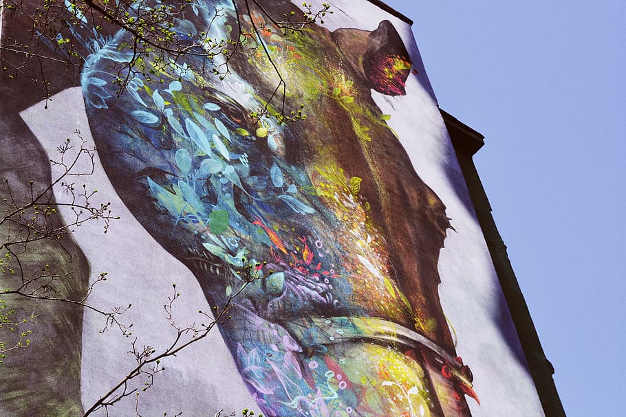 mural, graffiti, sky, paint, painting, horse, animal, street HD wallpaper