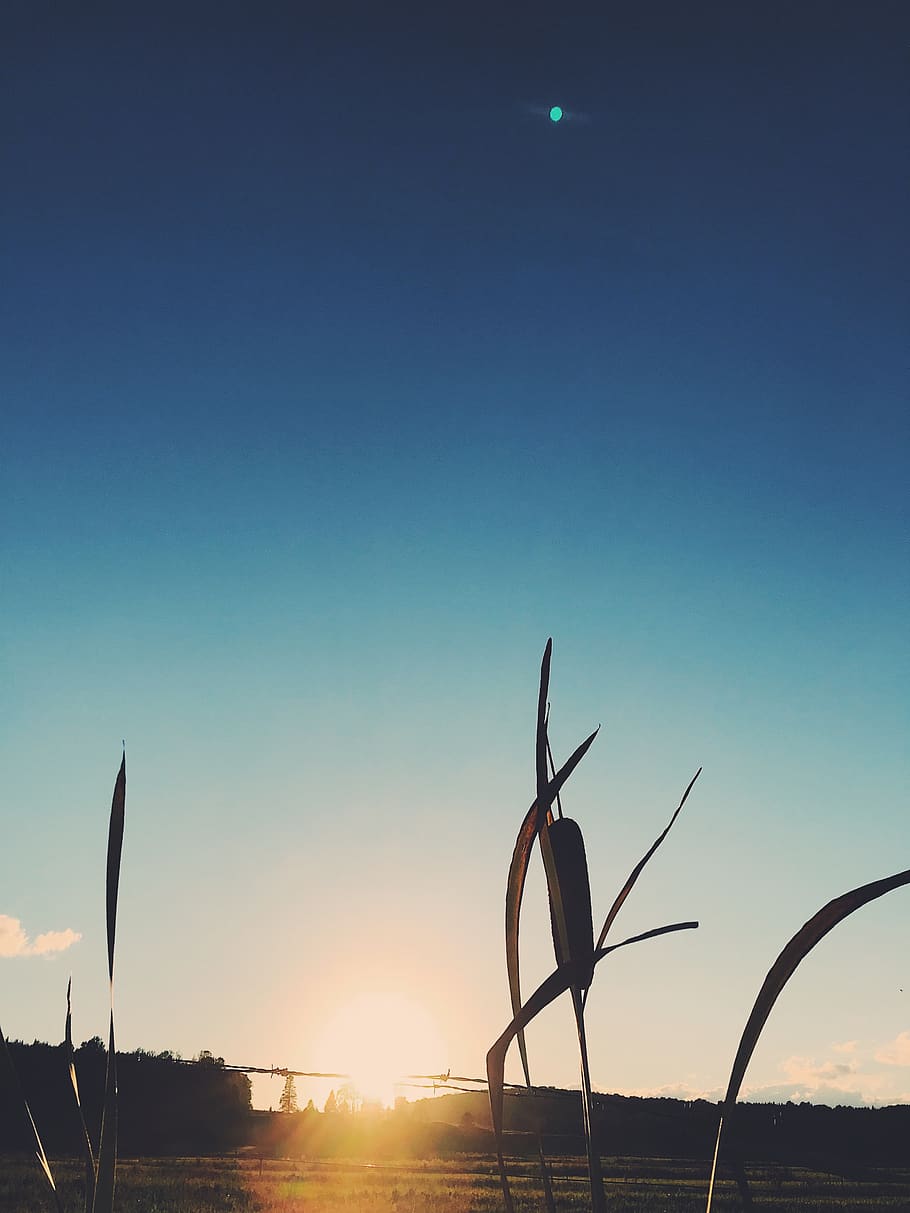 canada, chemin white, sky, sunset, nature, beauty in nature HD wallpaper
