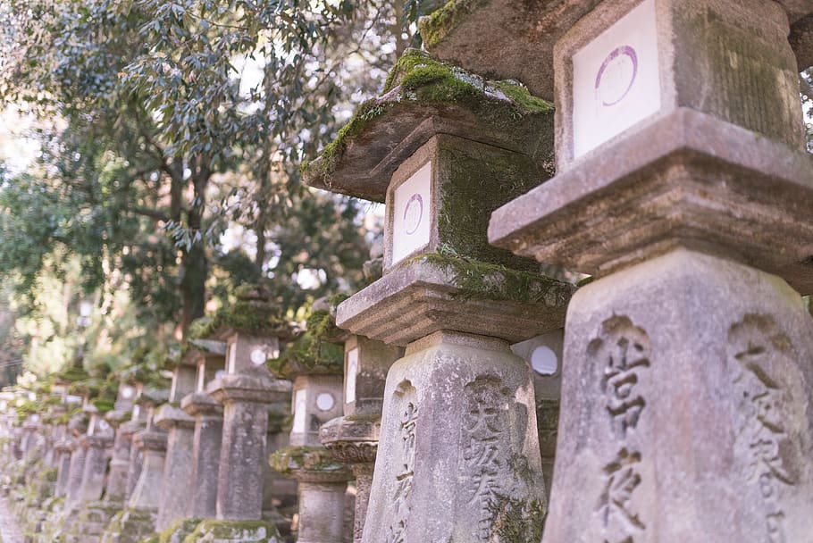 Hd Wallpaper Japan Nara Shi 春日大社本殿 バス停 Kasuga Taisha Wallpaper Flare