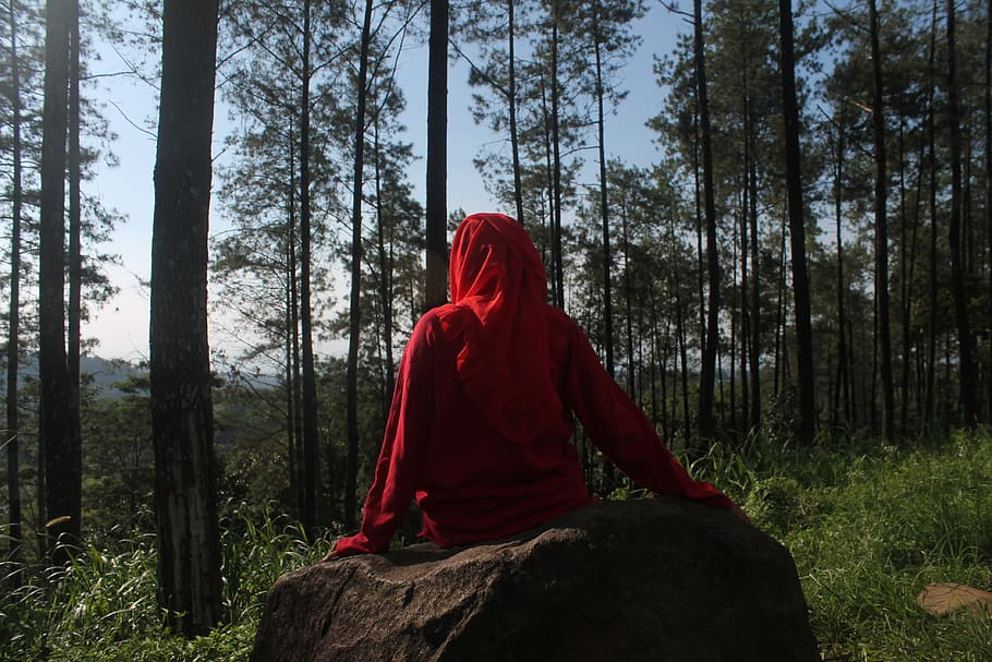 woman, trees, land, plant, red, forest, one person, woodland HD wallpaper