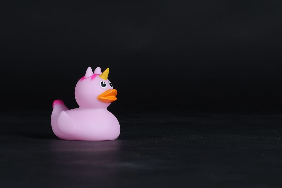 cute, rubber, pink, toy, bath duck, close-up, horn, rubber duck HD wallpaper