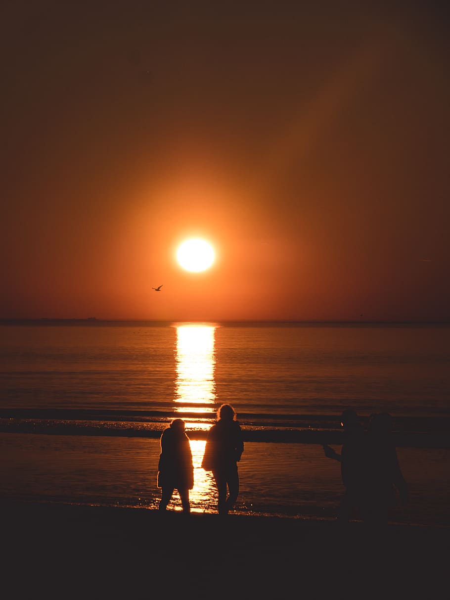 two person standing on shore, water, sea, sunset, sky, orange color HD wallpaper