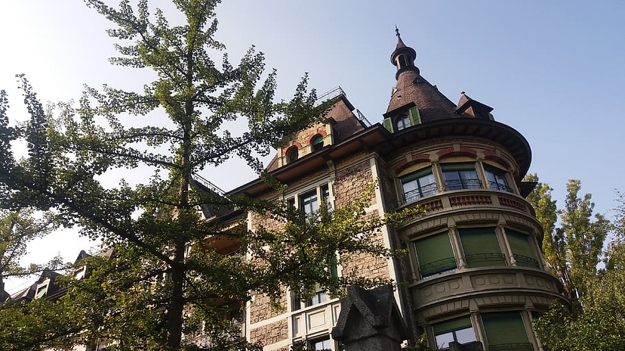 switzerland, bern, low angle view, built structure, tree, building exterior HD wallpaper
