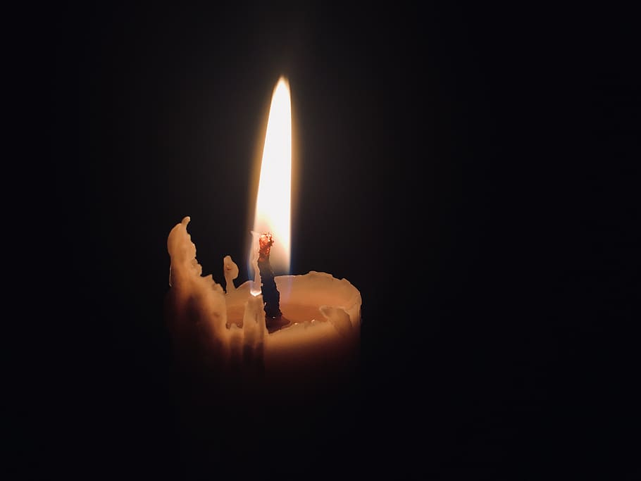 fire, flame, night, dark, candle, light, flower, plant, petal HD wallpaper
