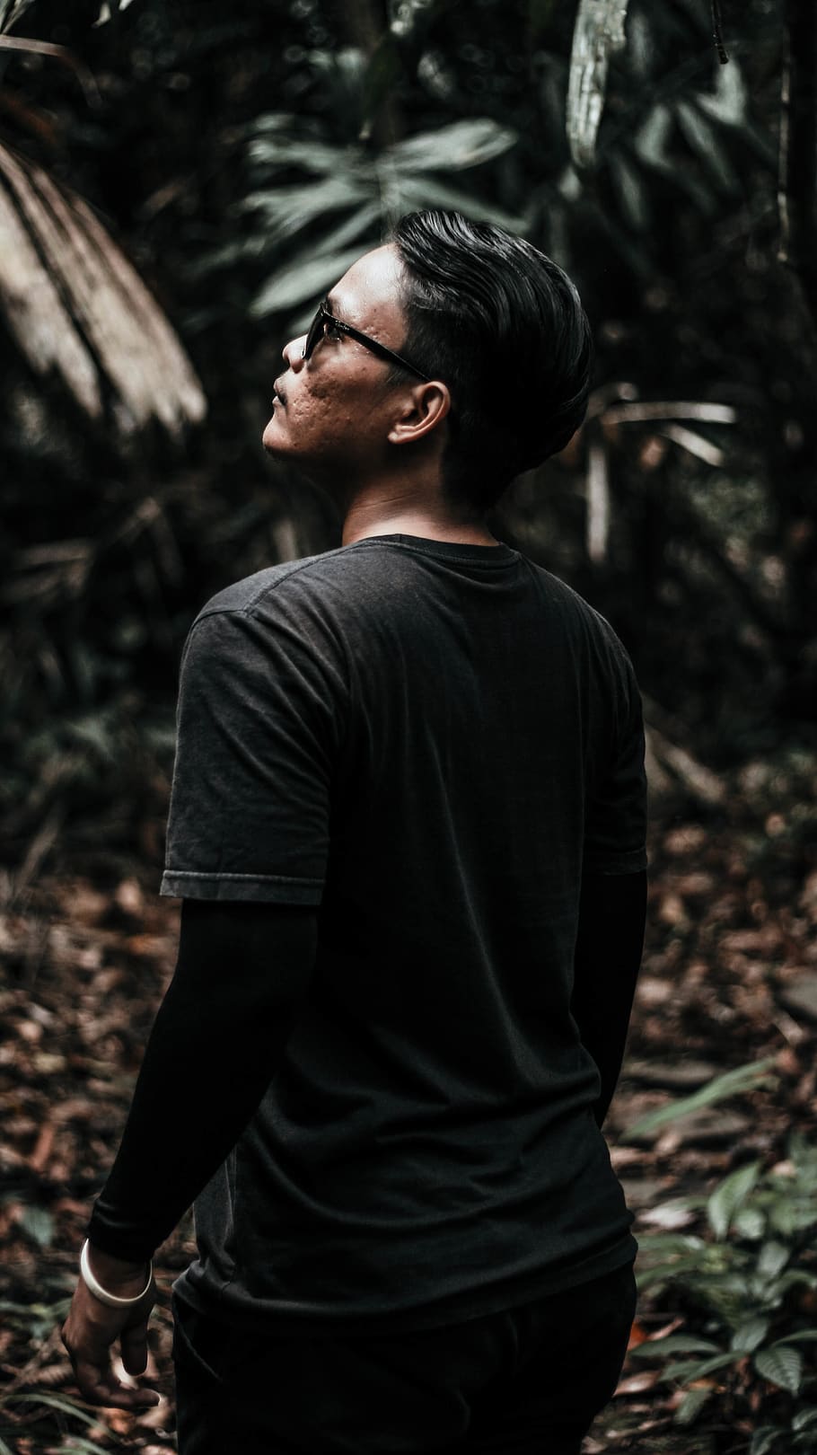 Man Looking Up , daylight, person, one person, forest, young men HD wallpaper