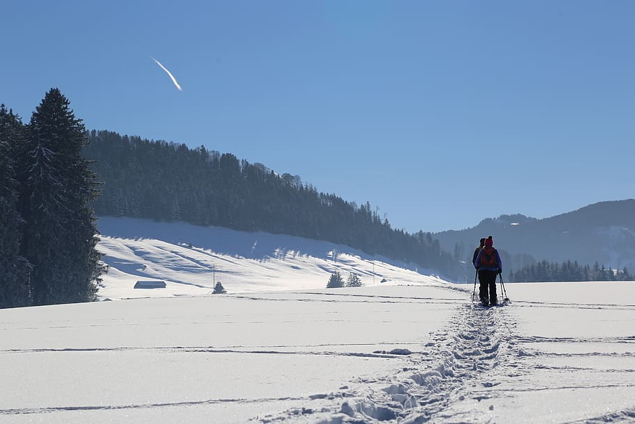 winter, snow, trace, landscape, cold, nature, snow landscape HD wallpaper