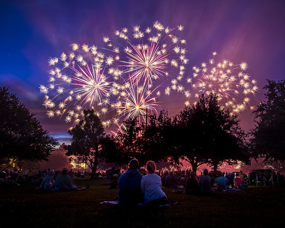 fireworks, trees, color, couple, romantic, lights, bright, night HD wallpaper