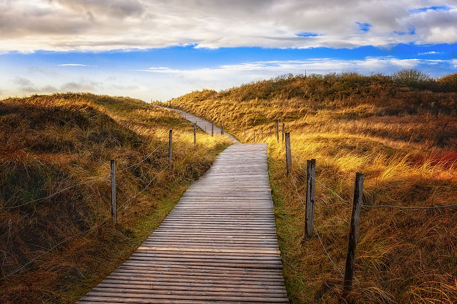 away, path, dunes, sea, beach, wooden track, hiking, landscape HD wallpaper