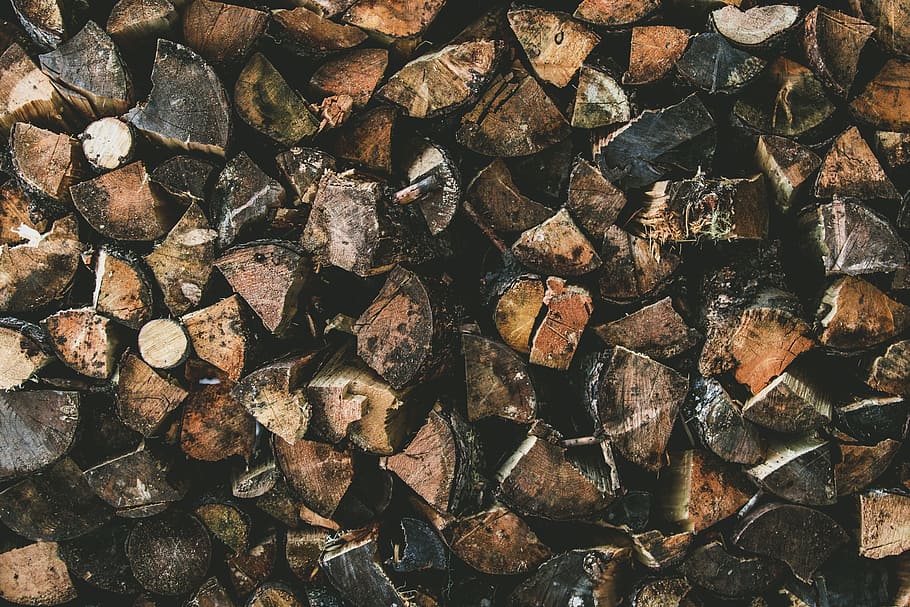 logs, fire, firewood, fire wood, sticks, branches, warm, fall HD wallpaper