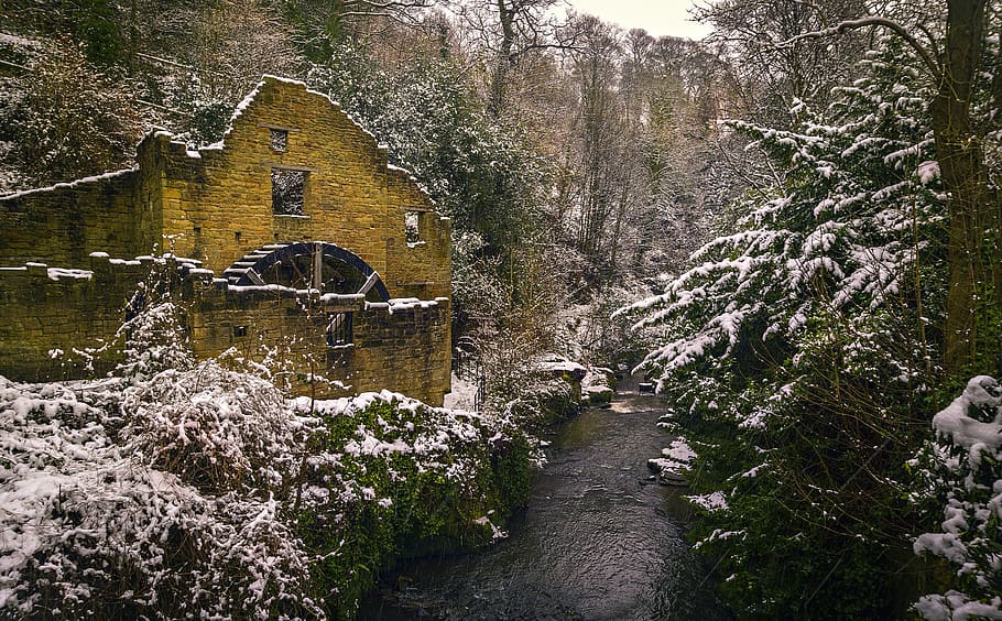 Yellow House Near the Body of Water Surrounded by Trees, abandoned building HD wallpaper