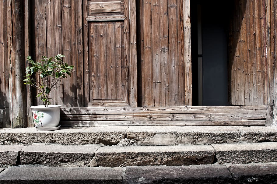 Plant Pot Near Door, architecture, bright, building, entrance HD wallpaper