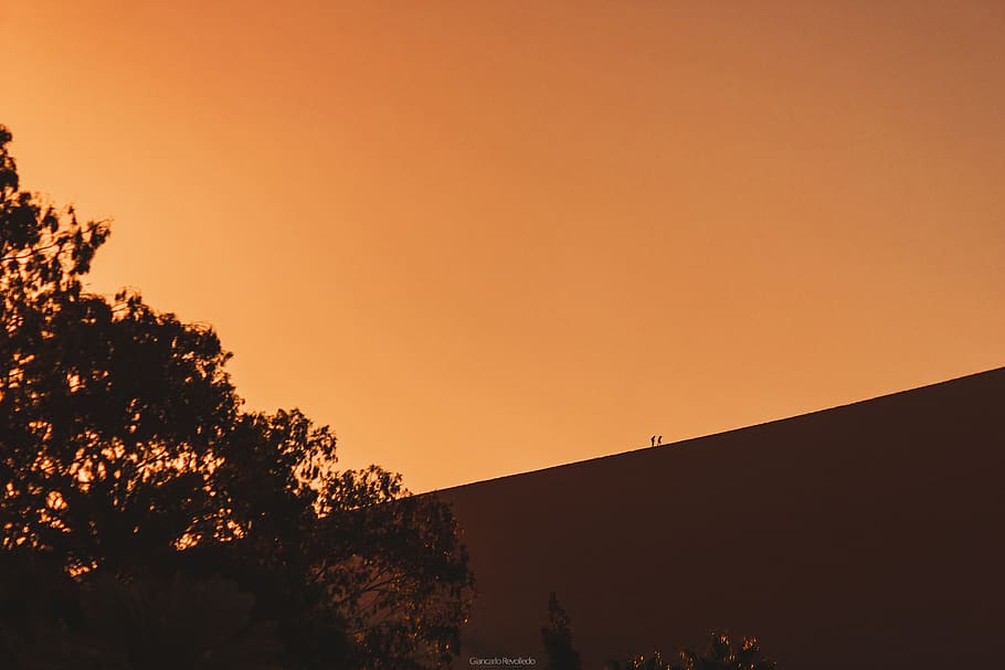 trees, trip, wallpaperandroid, wallpaperhd, lima, ica, huacachina HD wallpaper