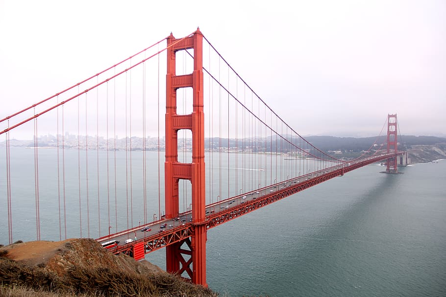 San Francisco bridge, building, suspension bridge, ocean, nature HD wallpaper