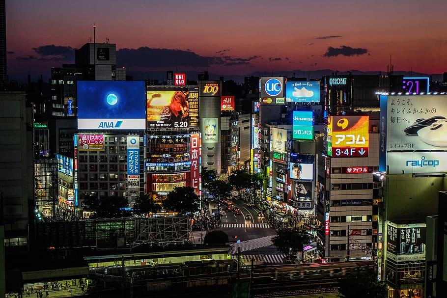 japan, shibuya-ku, shibuya hikarie, lights, neon, signs, development, HD wallpaper