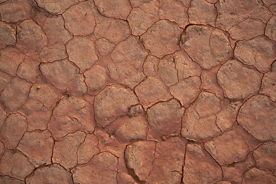cracked brown soil, wet, dry, wallpaper, background, sahara, full frame HD wallpaper