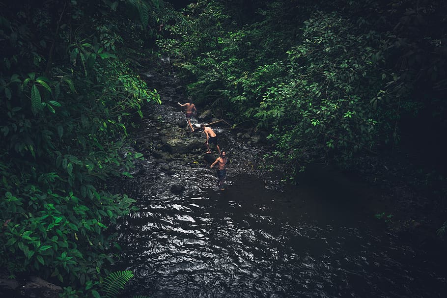 river, water, rocks, green, trees, plant, forest, people, outdoor HD wallpaper