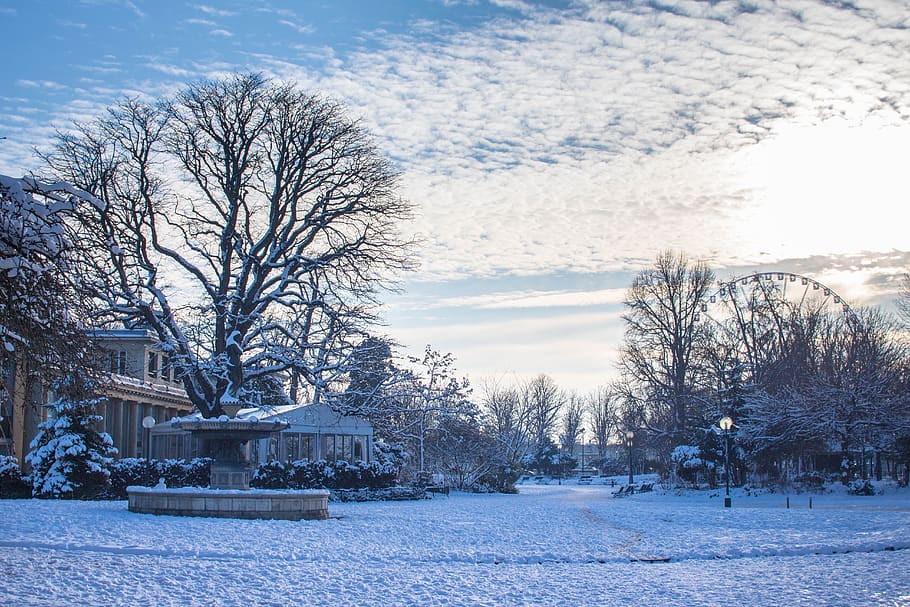 snow, cold, nature, landscape, white, blue, ice, snowy, cold temperature HD wallpaper